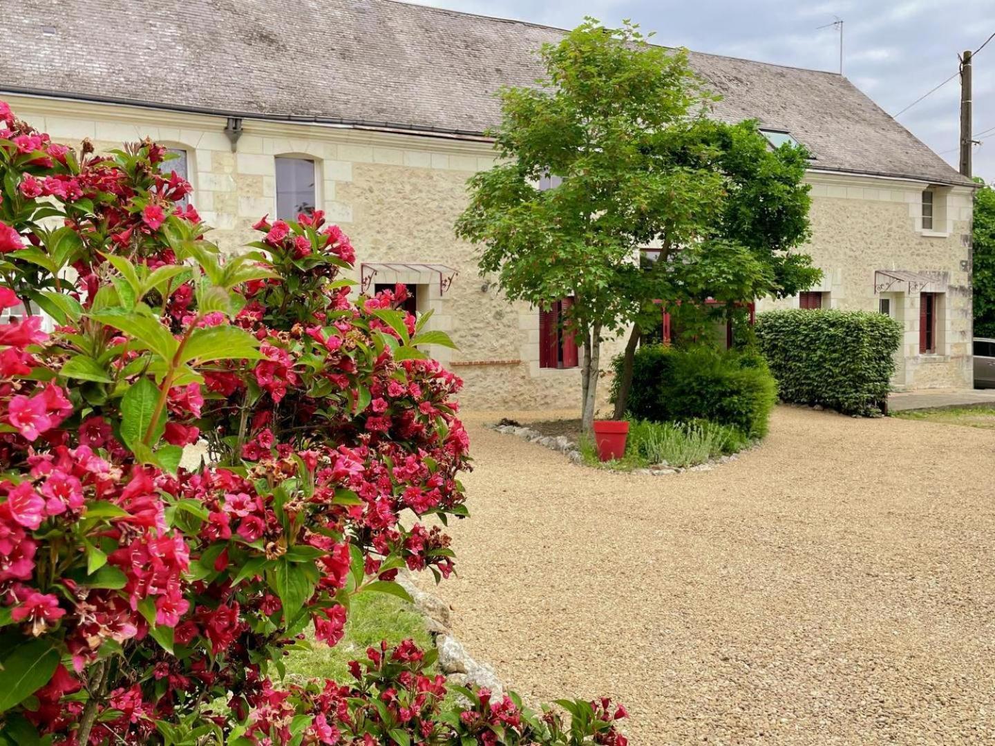 Luzillé Au Domaine Du Bois Joubert Bed & Breakfast エクステリア 写真
